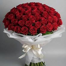 Букет 101 Красная роза Блэк Мэджик в Галиче