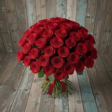 Букет 55 Красных роз Фридом #REPLACE_PRED# Галиче