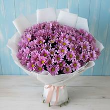 Букет цветов из:  Хризантемы в Галиче