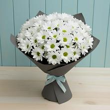 Букет цветов из:  Хризантемы #REPLACE_PRED# Галиче
