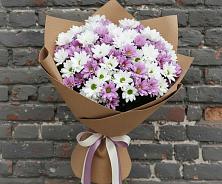 Букет цветов из:  Хризантемы в Галиче