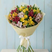 Букет цветов из:  Альстромерии в Галиче
