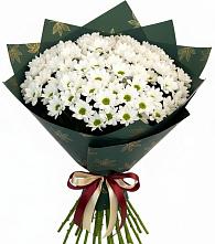 Букет цветов из:  Хризантемы в Галиче