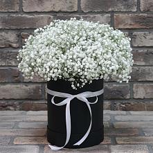 Цветочная композиция из Гипсофила в шляпной коробке в Галиче