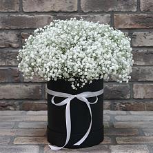 Цветочная композиция из Гипсофила в шляпной коробке в Галиче