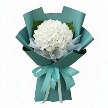 Букет цветов из:  Гортензия #REPLACE_PRED# Галиче